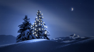 Snowy hill christmas tree moon - a snowy hill free wallpaper