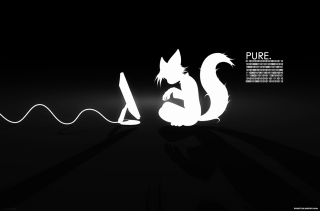 Black white cat light pure - plain background free wallpaper for desktop