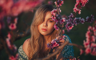 Elina karimova portrait cherry blossoms - portrait photography free wallpaper