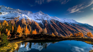 Mountain lake forest autumn sunset 7 - tree and a forest free wallpaper