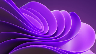 Purple abstract curves shiny solo - curve free wallpaper