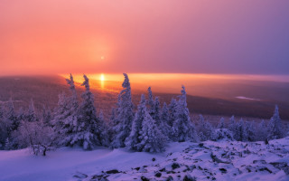 Sunset snowy mountain forest foggy - a foggy sky in the background free wallpaper