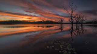 Lake trees sunset clouds leaves - a few leaf free wallpaper