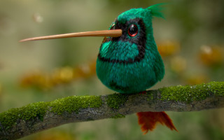 Green bird branch moss photorealistic - a green bird free wallpaper