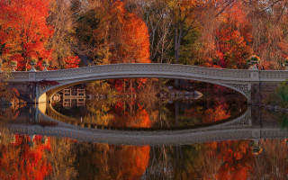 Bridge water mountains autumn leaves - the bridge free wallpaper