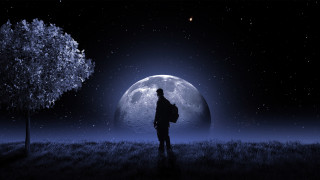 Fullmoon field man backpack tree - dreamlike free wallpaper