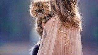Woman holding cat green eyes - whimsical free wallpaper