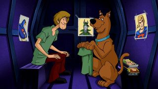 Cartoon man dog room pictures - dean roger free wallpaper for desktop