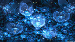 Blue flowers bubbles dark background - blue flower free wallpaper