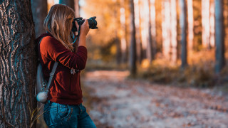 Woman taking tree portrait blurry - a picture of a tree free wallpaper
