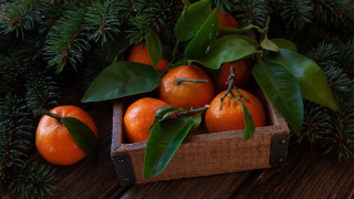 Oranges leaves pinecones stilllife outdoors - a table next free wallpaper