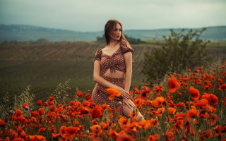 Woman polka dot bikini field - anka zhuravleva free wallpaper for desktop