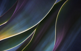 Green purple plant ultrafine abstract - abstract brush stroke free wallpaper for desktop