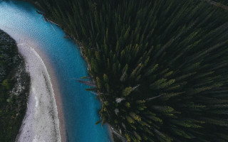 River forest beach blue water - river free wallpaper