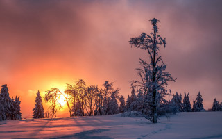 Sunset snowy field forests trail - a sunset in the distance free wallpaper