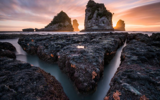 Rocky beach stream sunset leaves - a small stream free wallpaper