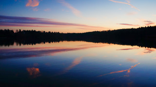 Sunset lake reflection trees cityscape - the sky and trees free wallpaper