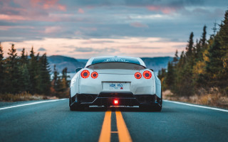 White sports car road trees 5 - the tail free wallpaper