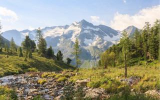 Mountain stream forest grass rocks - rock and grass free wallpaper