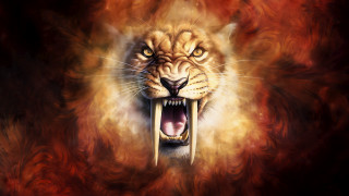 Lion flame background open mouth - tooth wide free wallpaper