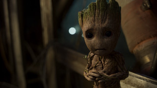 Groote window plant photorealism IMAX - beeple free wallpaper