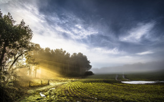 Field tree river sunset nature - crepuscular ray free wallpaper