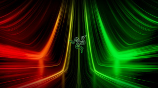 Green red lizard background computer - a lizard free wallpaper for desktop