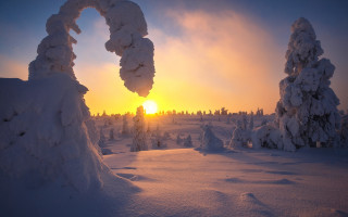 Sunset snowy trees dusk mountain - a sunset in the distance free wallpaper