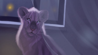 Purple tiger cub window night - apelle free wallpaper
