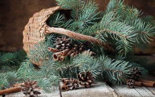 Pine cones cinnamon sticks basket - pine free wallpaper