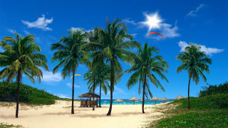 Beach palm trees hut sand - free 3d render wallpaper for desktop