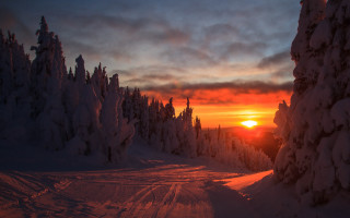 Sunset snowy road trees winter - a sunset in the distance free wallpaper for desktop