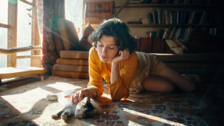 Woman cat lay floor bookcase - soft light free wallpaper