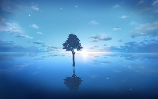 Lone tree reflection night starry - sky in the background free wallpaper