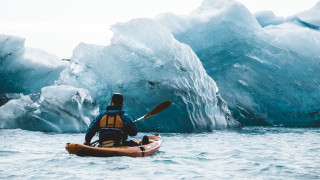 Kayak glacier ice chunks bird - the water and a bird free wallpaper