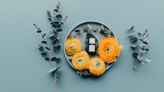 Plate flowers perfume blue leaves - a plate free wallpaper