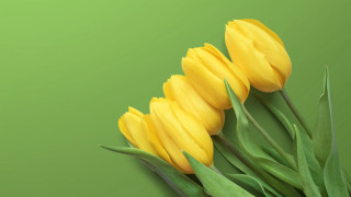 Yellow flowers green background 3d - yellow flower free wallpaper