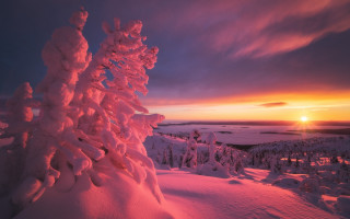 Sunset snowy mountain tree orange - sky free wallpaper