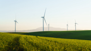 Green grass wind turbines blue - green grass free wallpaper
