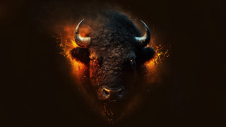 Fire bull embers glowing horns - a bull free wallpaper