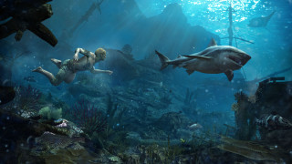 Aquarium sharks underwater people photorealism - other animal free wallpaper
