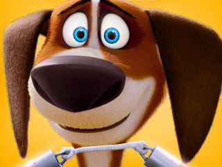 Cartoon dog big smile pipe - a cartoon dog free wallpaper