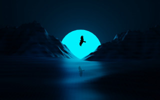 Bird mountain night blue light - blue light free wallpaper for desktop