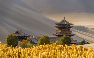 Tall building tower yellow flowers - amazing free wallpaper