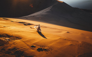 Dog running sandy desert sunset - sandy free wallpaper