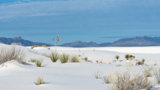 Desert mountains plants sky lake - betye saar free wallpaper