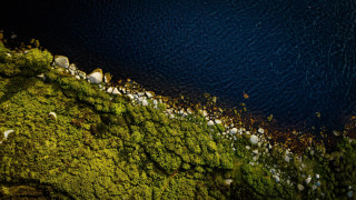 Birdseye water trees rocks grass - moss free wallpaper