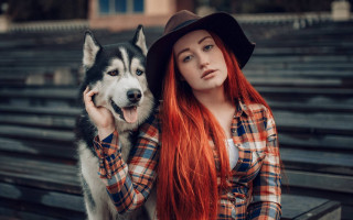 Red hair hat husky portrait - anka zhuravleva free wallpaper for desktop