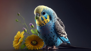 Blue yellow bird flower vase 2 - a yellow flower free wallpaper