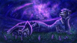 Wolf grass purple starry night - galaxy free wallpaper